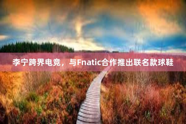 李宁跨界电竞，与Fnatic合作推出联名款球鞋